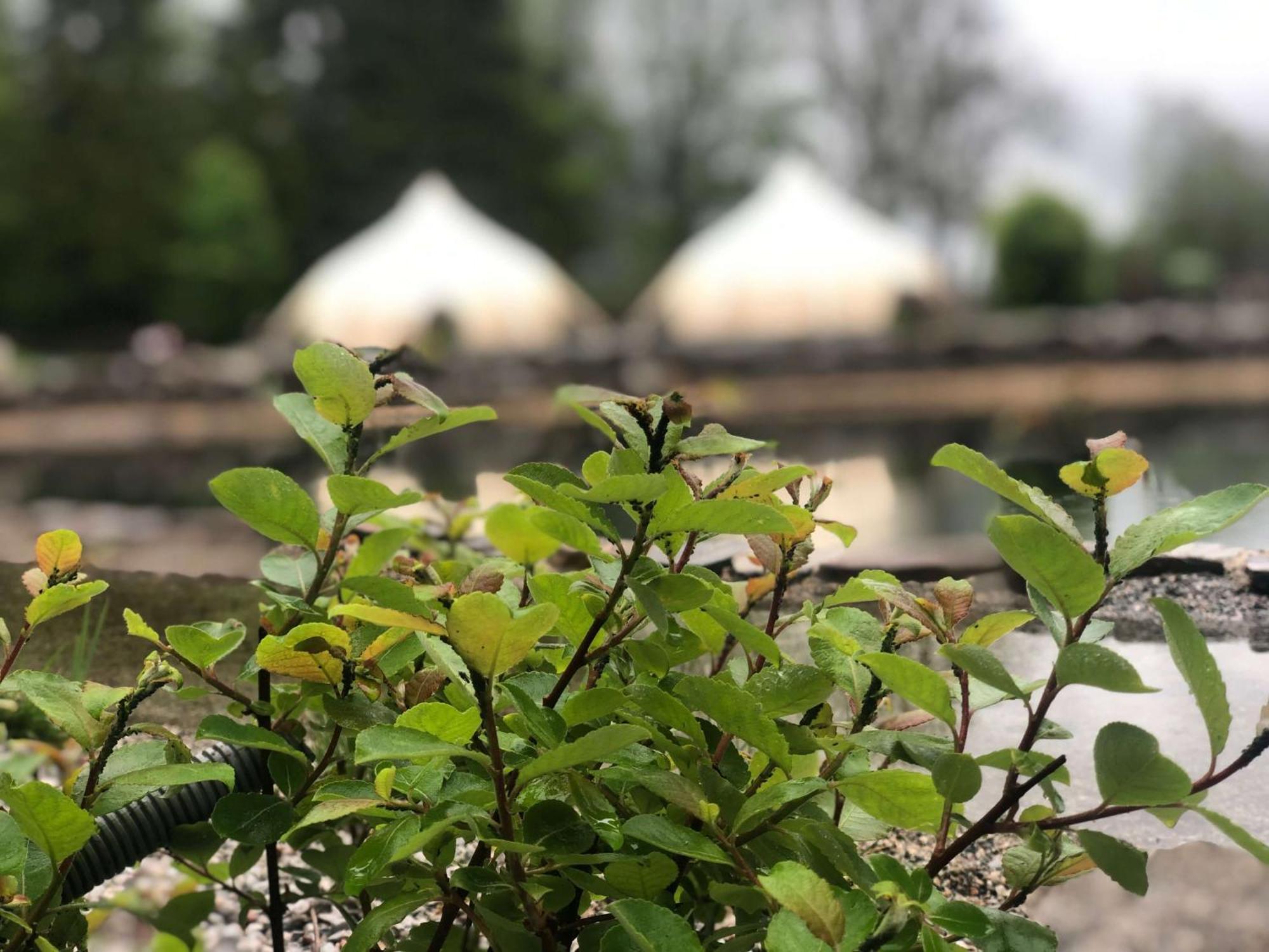 Pop-Up Camp Waidring Hotel Exterior photo